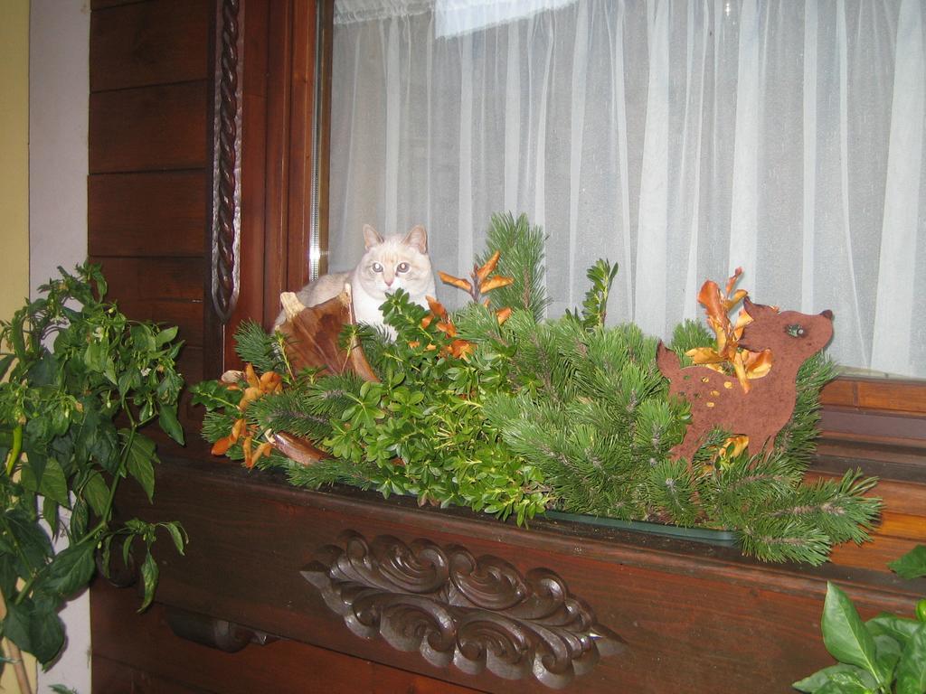 Haus Rosswiese Apartment Strobl Luaran gambar